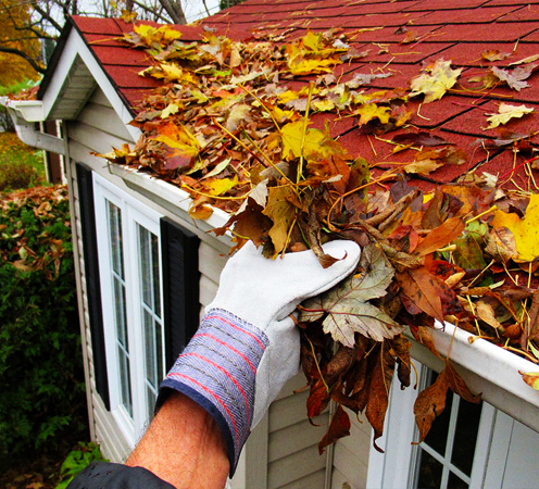 Gutter and Eavestrough cleaning