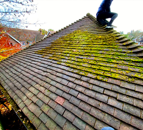 Moss Removal from your Roof